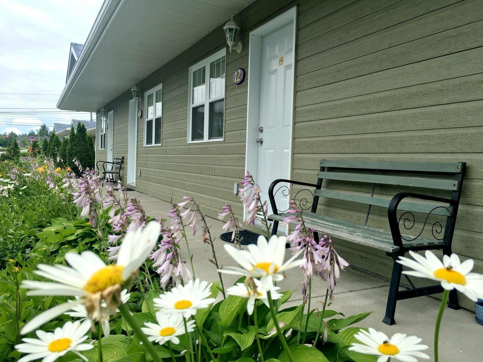 Motel Des Cedres Sherbrooke Exterior foto